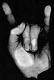 A group for all fans of all genres of Metal.