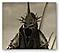 Witch King of Angmar