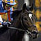 High Chaparral's Avatar