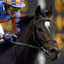 High Chaparral's Avatar