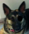 Snake Plissken's Avatar
