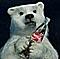 Doombear