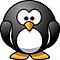 snobird