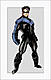 Nightwing Begins