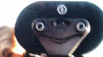postmodel's Avatar