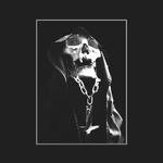 Mothravka's Avatar