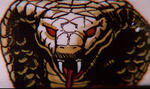 Cobretti's Avatar
