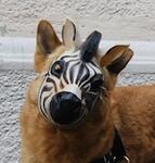 oki_inu's Avatar