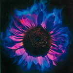 HanaBi's Avatar