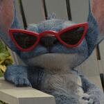 Jennifer Lawrence Fan's Avatar